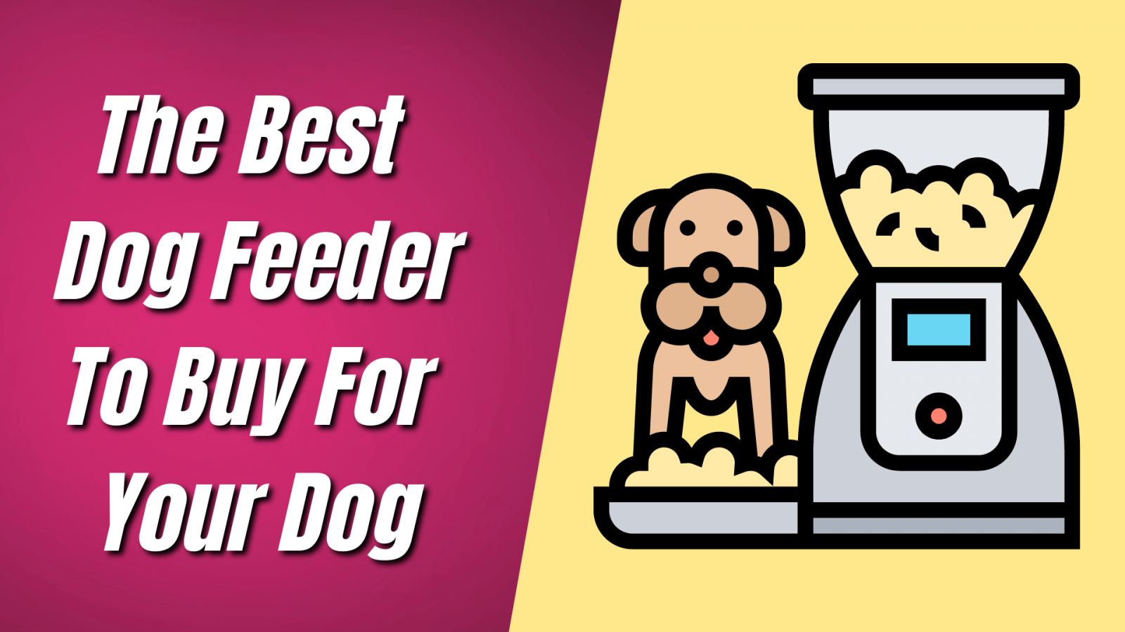 The Best Dog Feeder To Buy For Your Dog Pets for Sale and Small